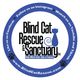 Blind Cat Rescue & Sanctuary