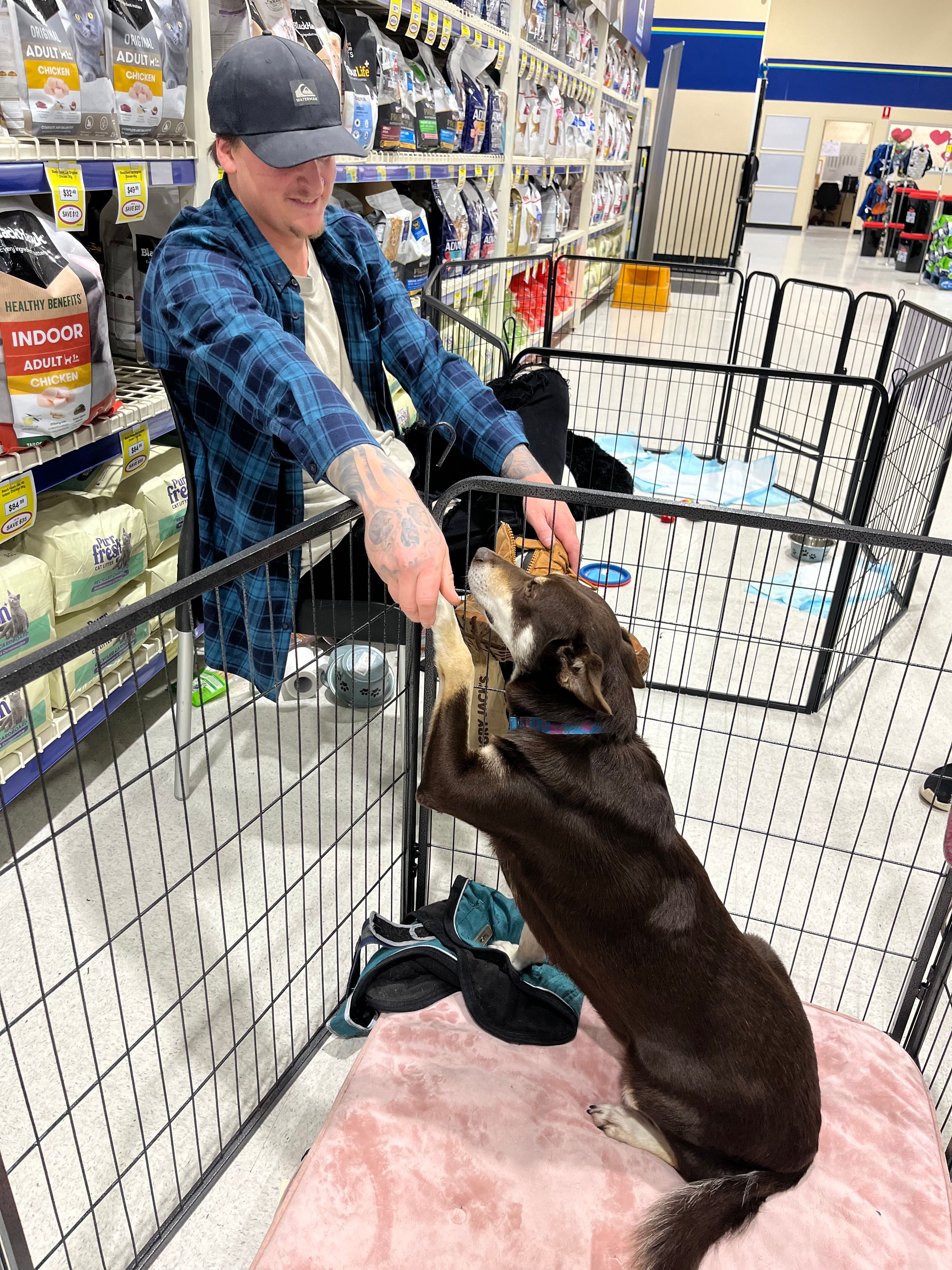 FurKids Rescue