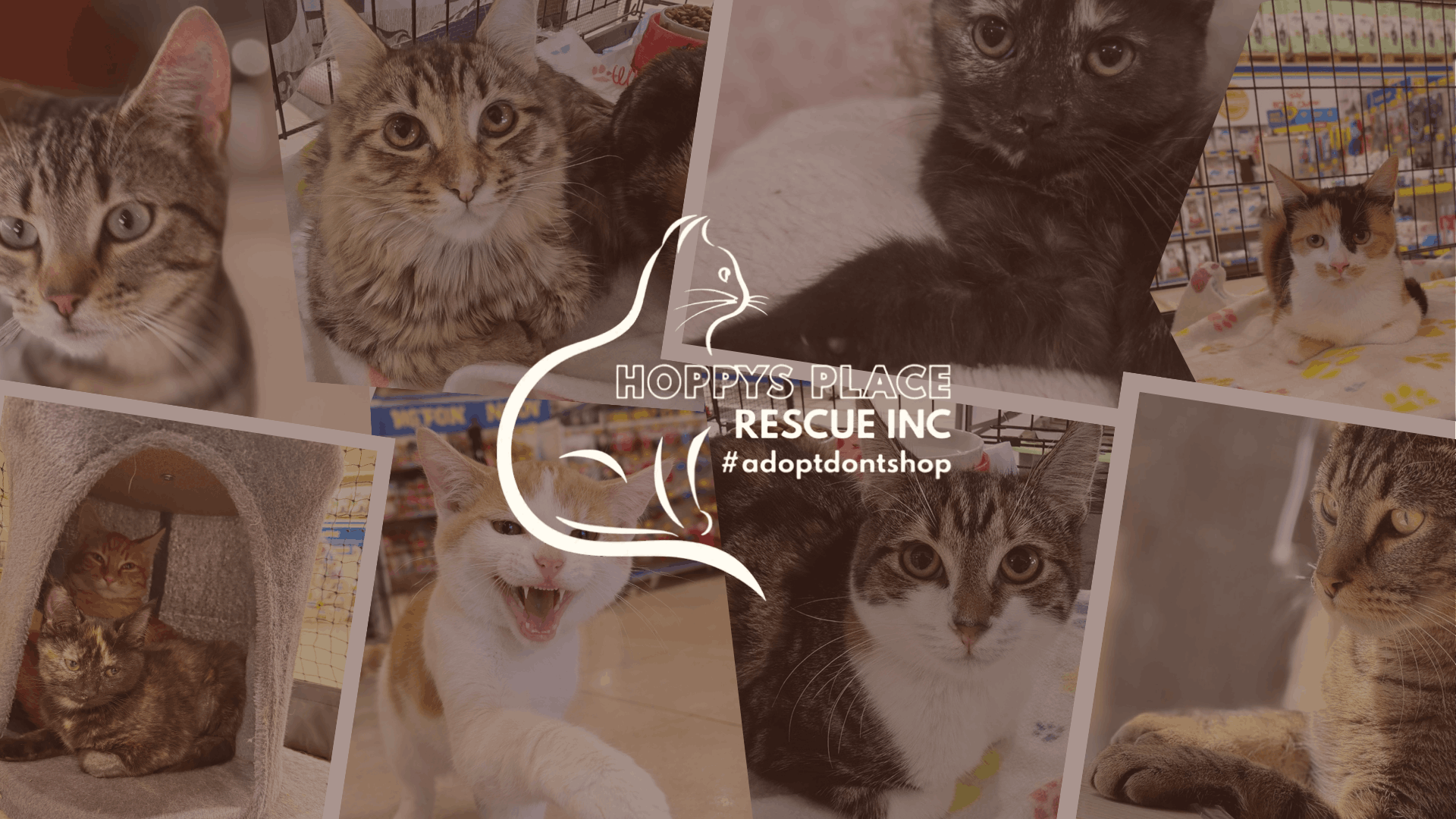Hoppys Place Rescue Inc