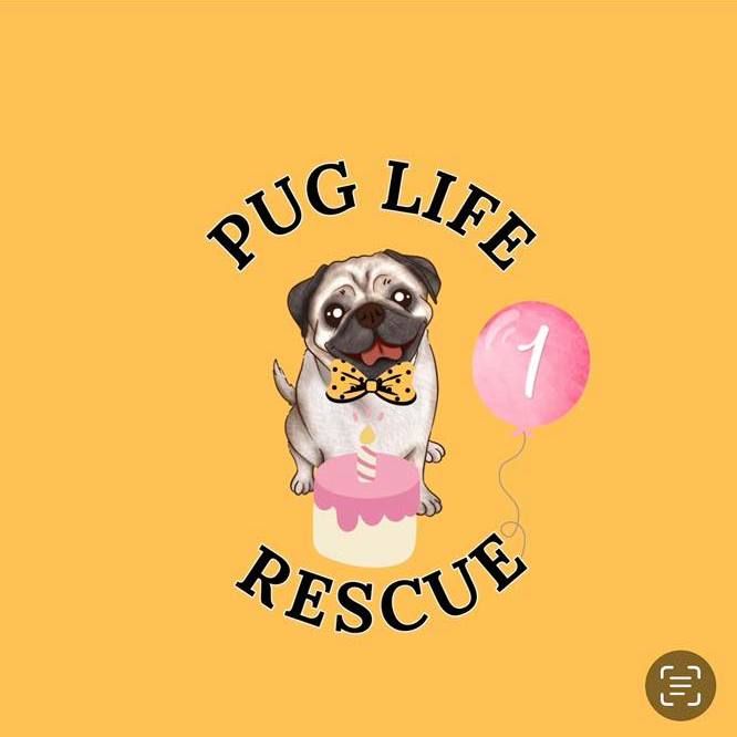 Pug Life Rescue UK