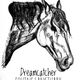 Dreamcatcher equine sanctuary
