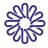Peace of Mind Foundation