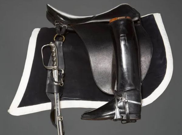 My Happy Place Animal Sanctuary