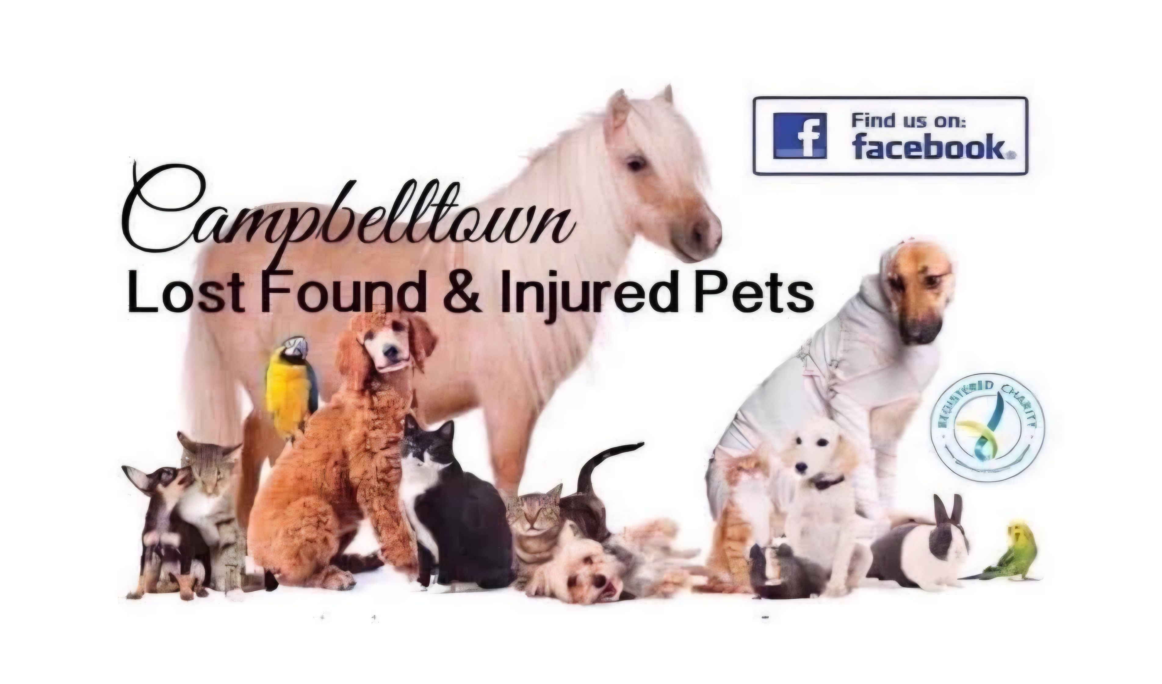Campbelltown lost found and injured pets
