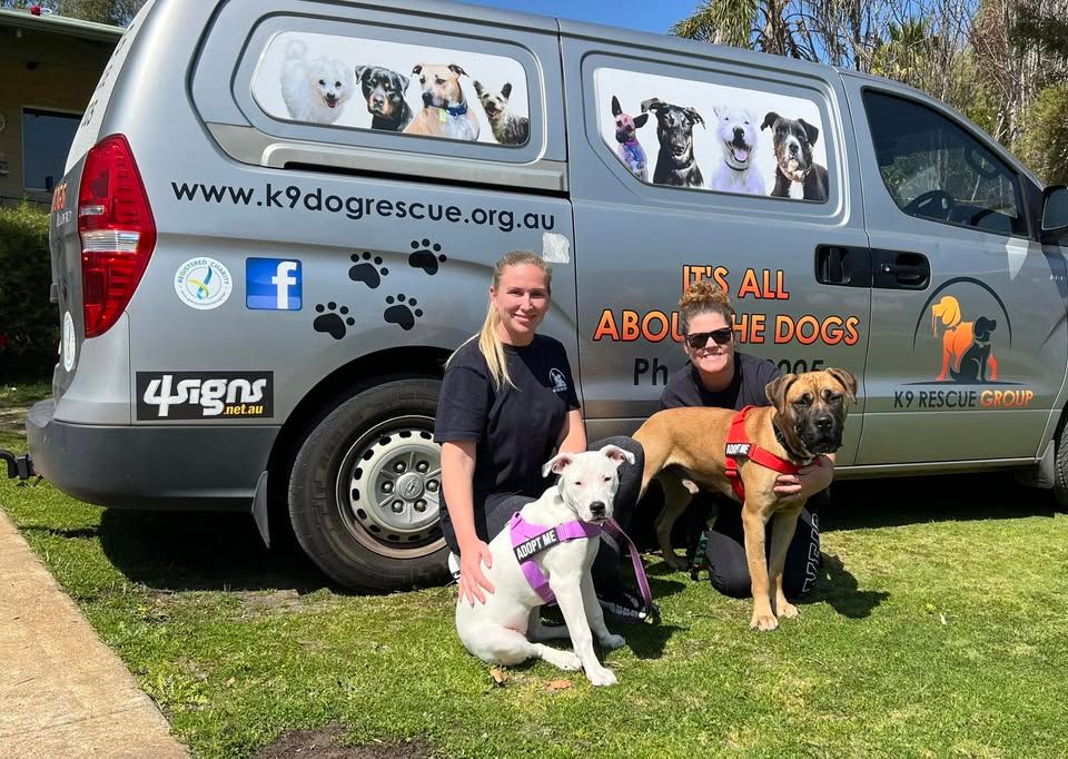 K9 dog rescue group