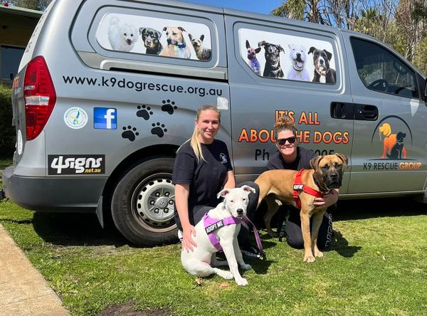 K9 dog rescue group