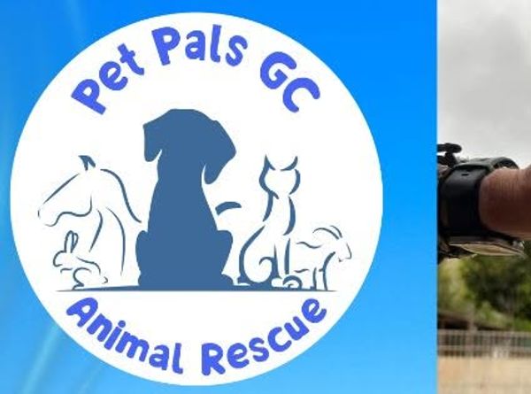 Pet Pals GC Animal Rescue