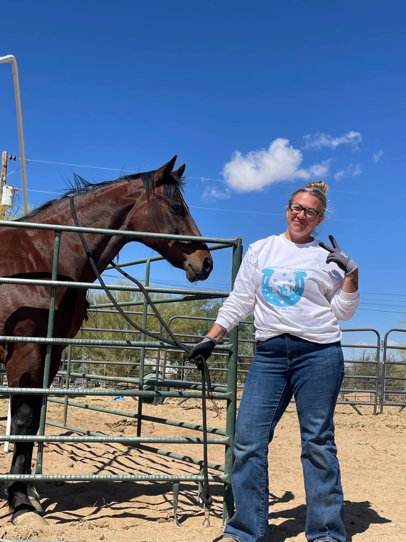 Jewels of the desert horse rescue and sanctuary