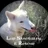Lup sanctuary and rescue