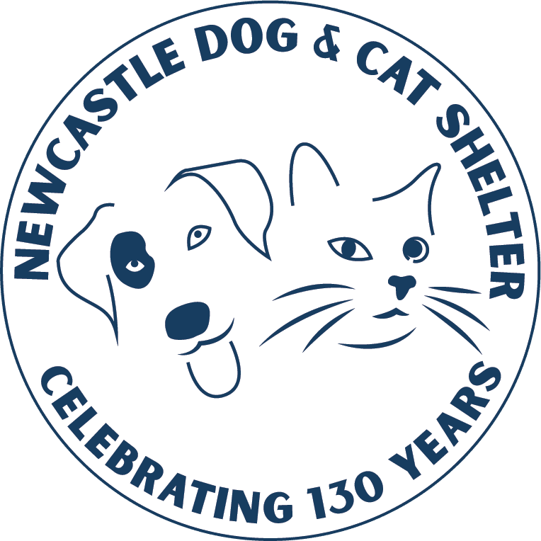 Newcastle Dog & Cat Shelter