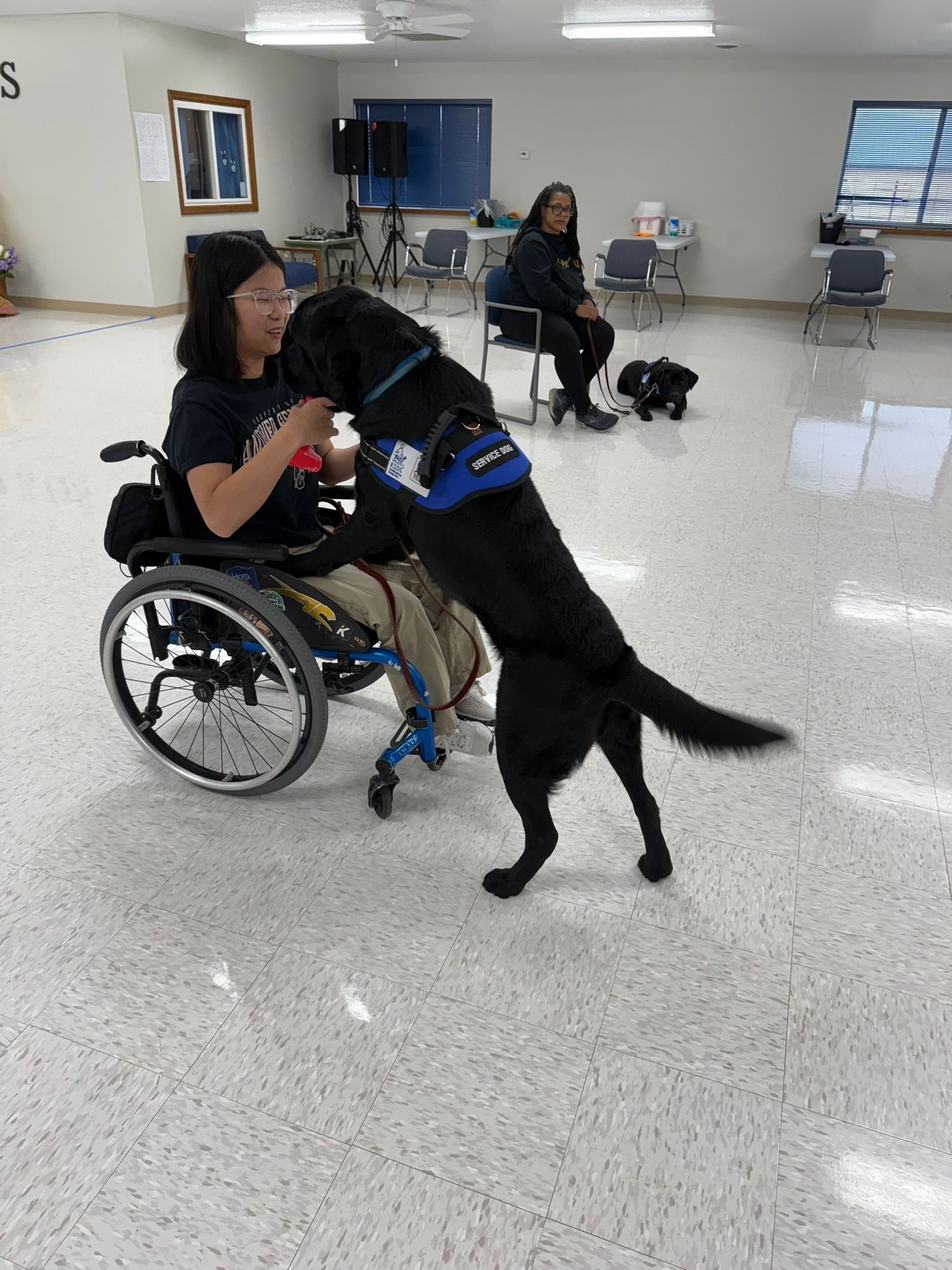 KSDS Assistance Dogs Inc.