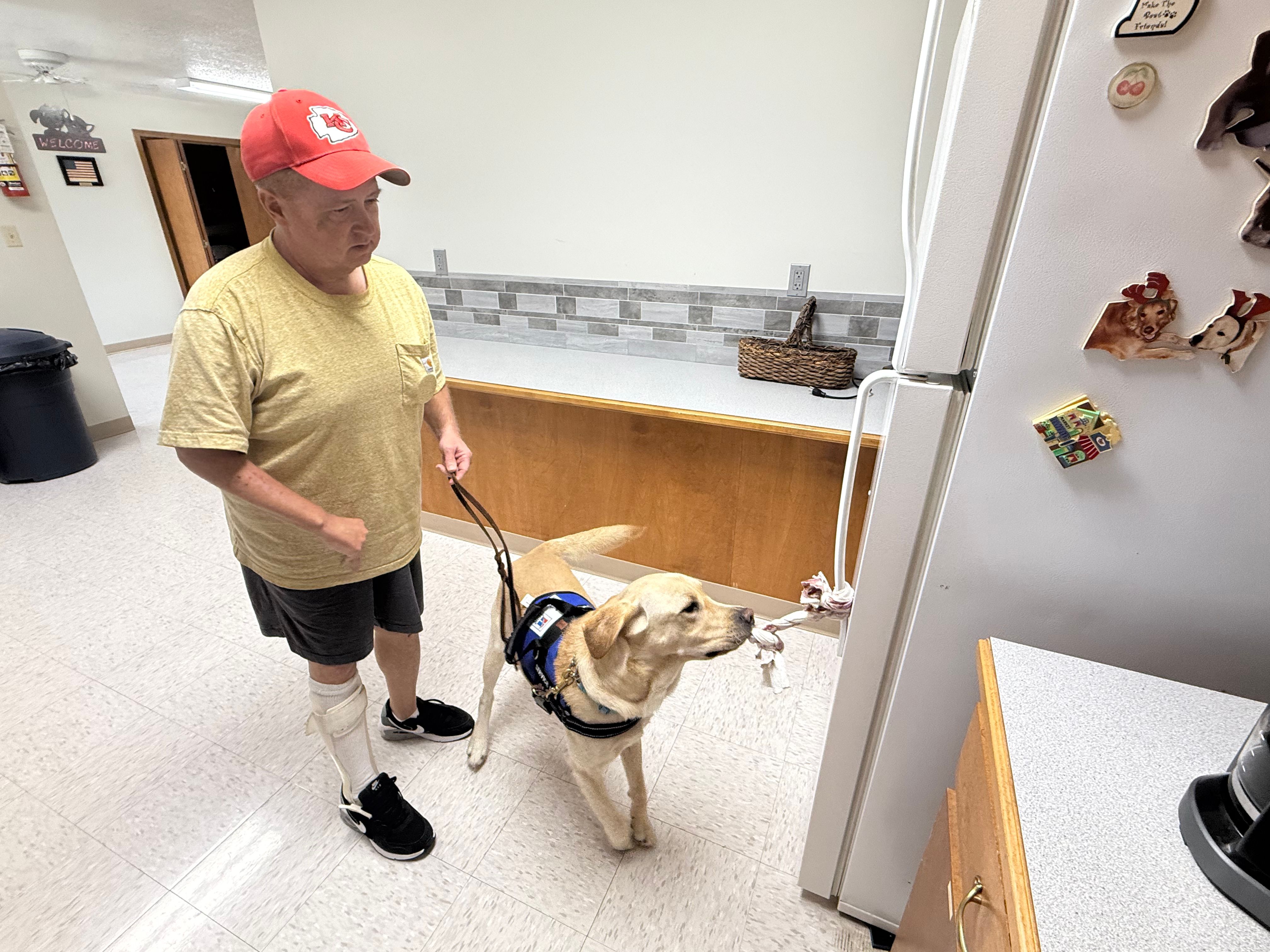 KSDS Assistance Dogs Inc.