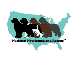 National Newfoundland Rescue, Inc.