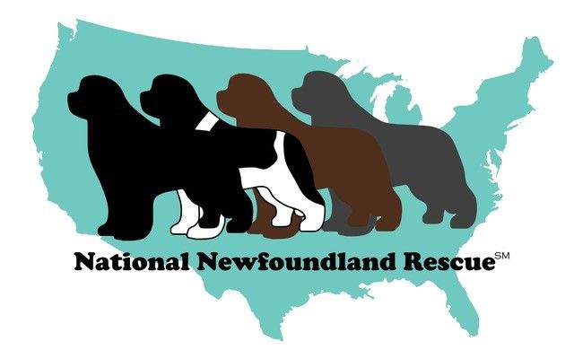 National Newfoundland Rescue, Inc.