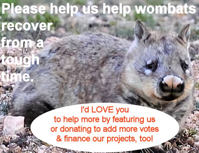 Wombats SA / Natural History Society of SA