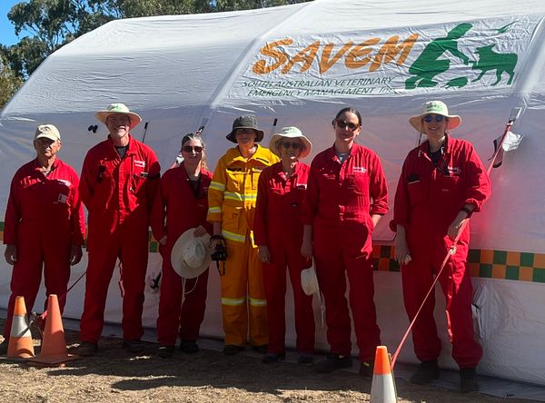 South Australian Veterinary Emergency Management Inc