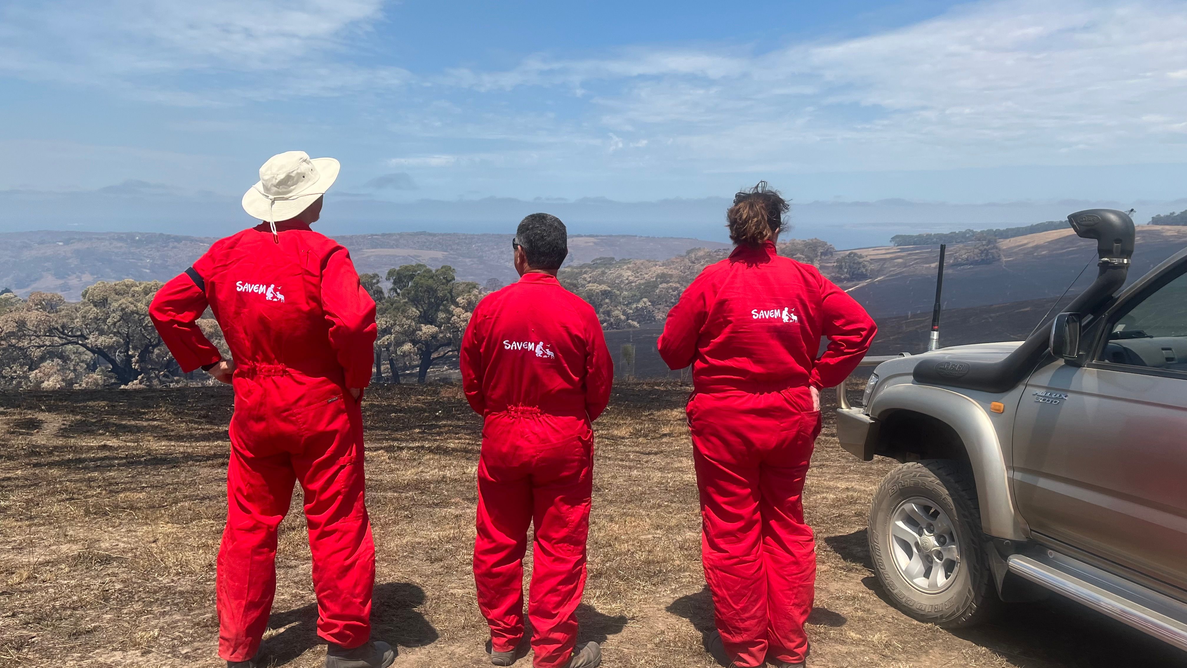 South Australian Veterinary Emergency Management Inc