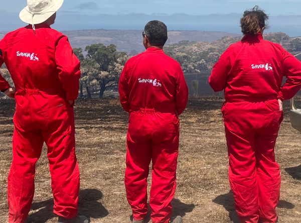South Australian Veterinary Emergency Management Inc
