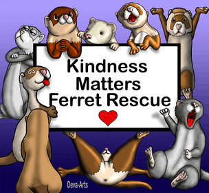 Kindness Matters Ferret Rescue, Inc.