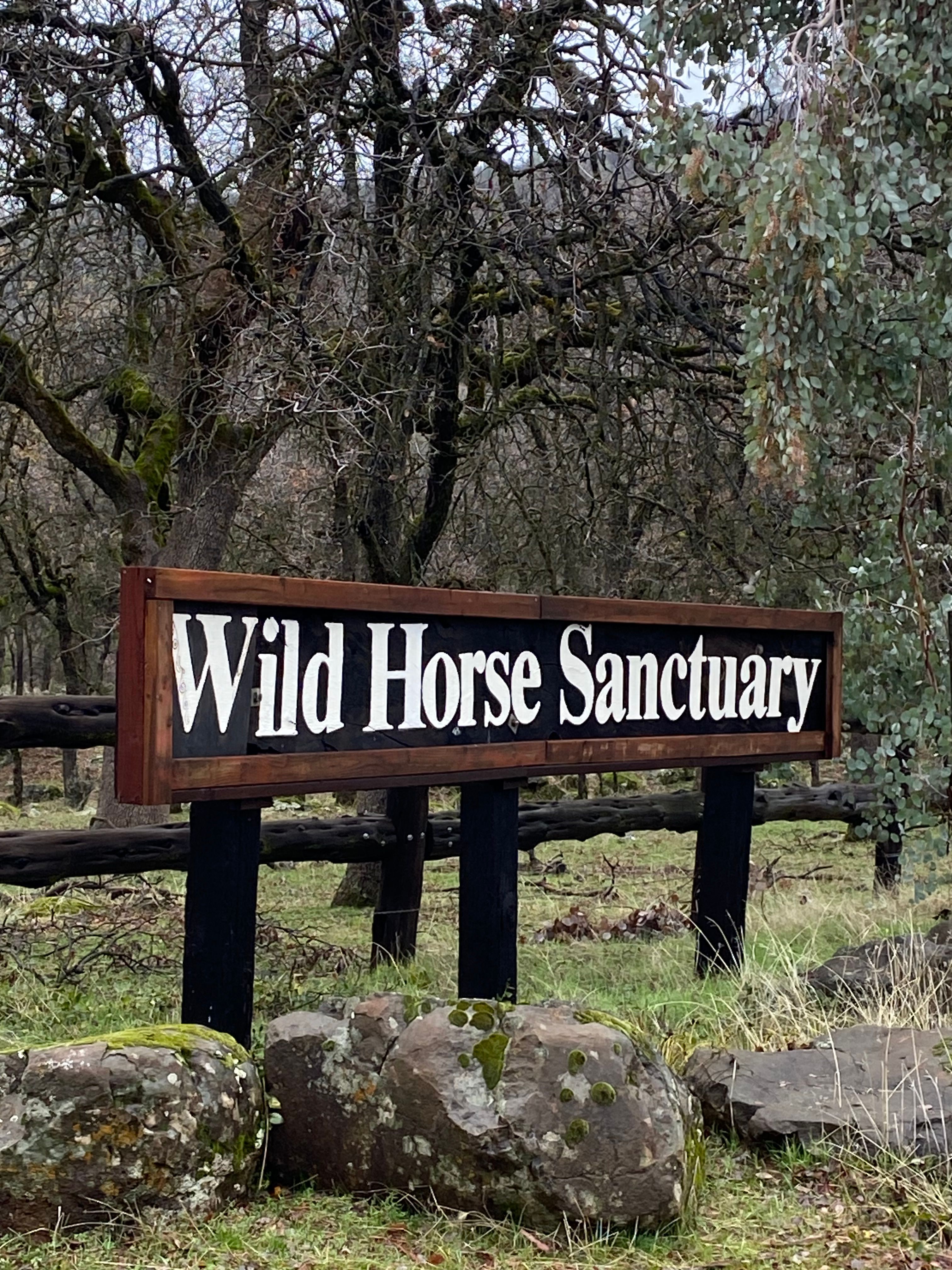 Wild Horse Sanctuary