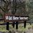 Wild Horse Sanctuary