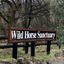 Wild Horse Sanctuary