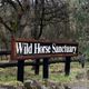 Wild Horse Sanctuary