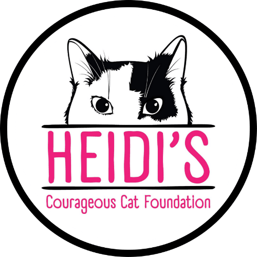 Heidi’s Courageous Cat Foundation