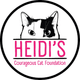 Heidi’s Courageous Cat Foundation