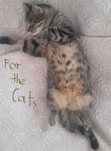 For The Cats