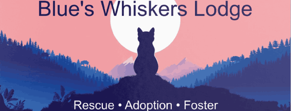 Blue's Whiskers Lodge