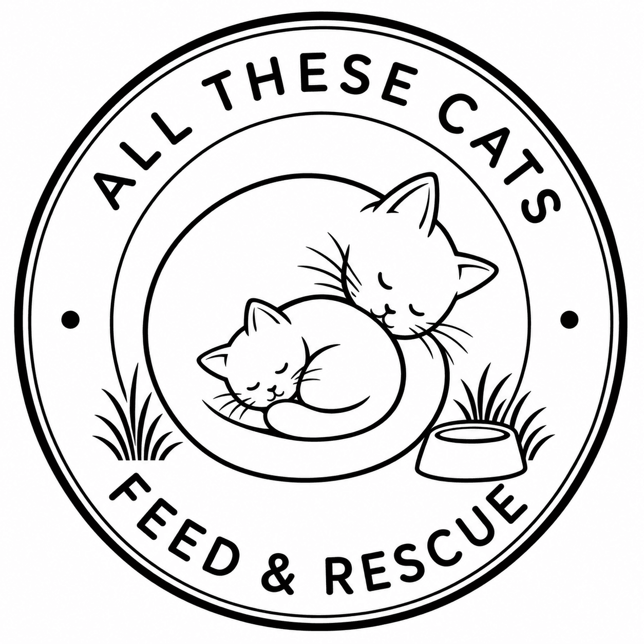 All These Cats Feed and Rescue