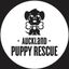 Auckland Puppy Rescue