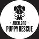 Auckland Puppy Rescue