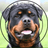 florida rottweiler rescue ranch