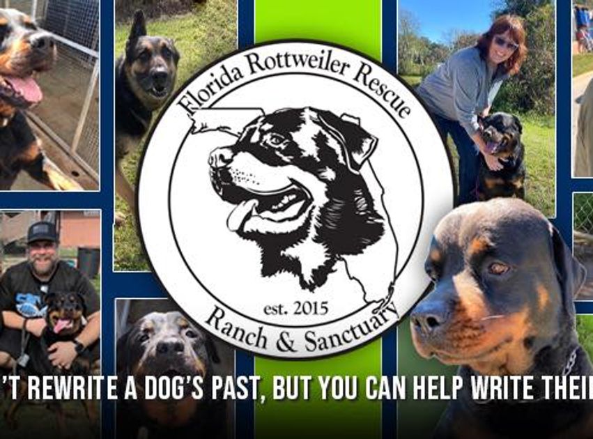 Radio Ranch Rottweilers Vote for florida rottweiler rescue ranch