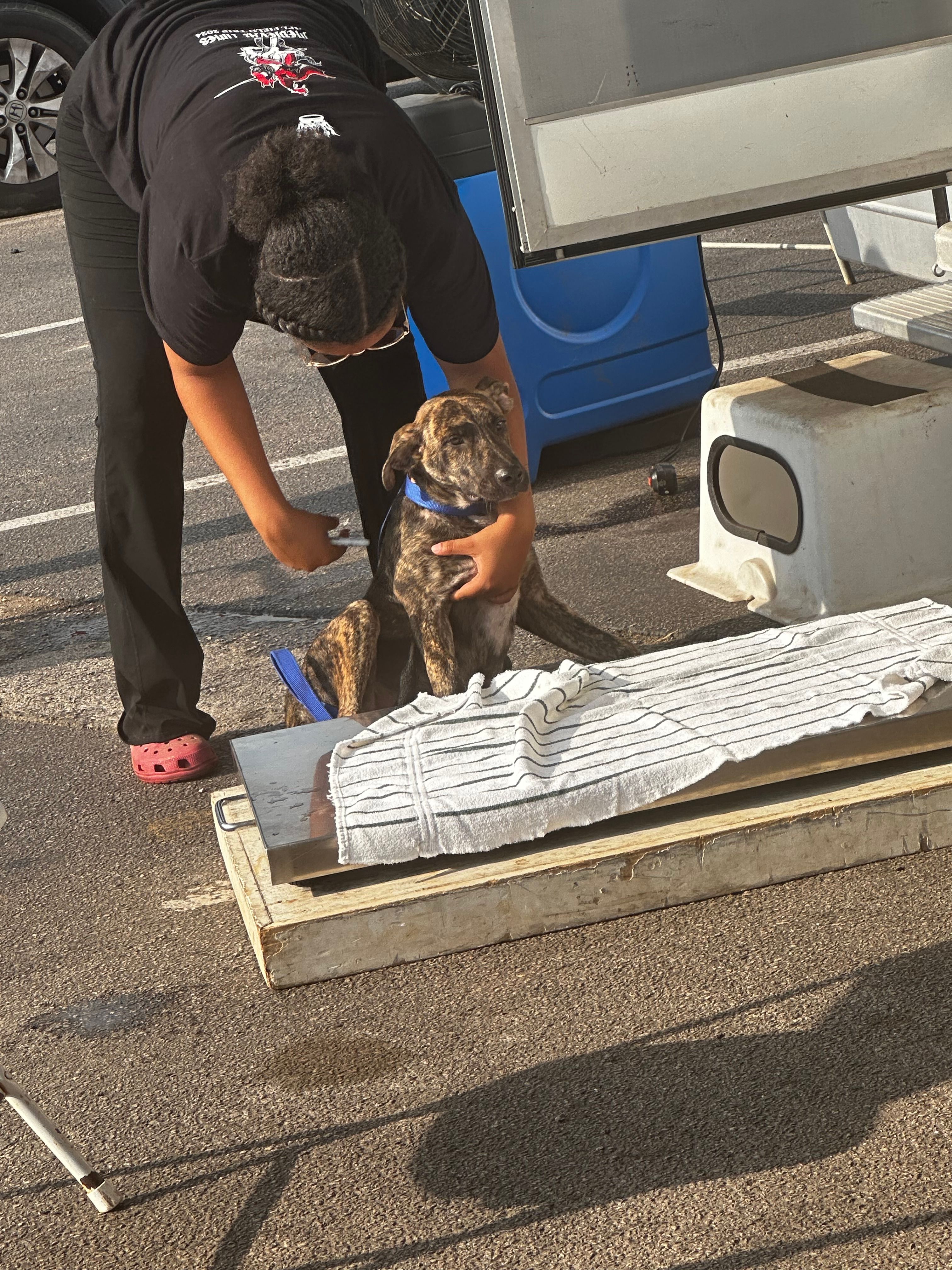 Delilahs Hope Rescue