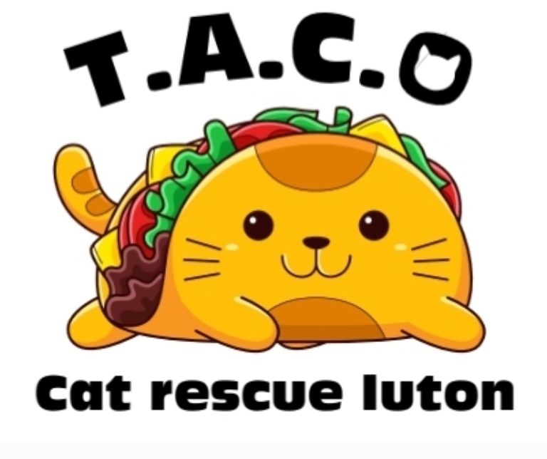 T.A.C.O cat rescue luton