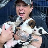 South Coast Humane Society in Brookings Oregon