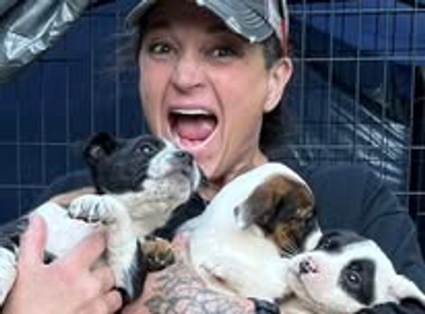 South Coast Humane Society in Brookings Oregon