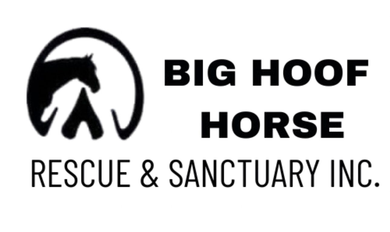 Big Hoof Horse Rescue and Sanctuary Inc.