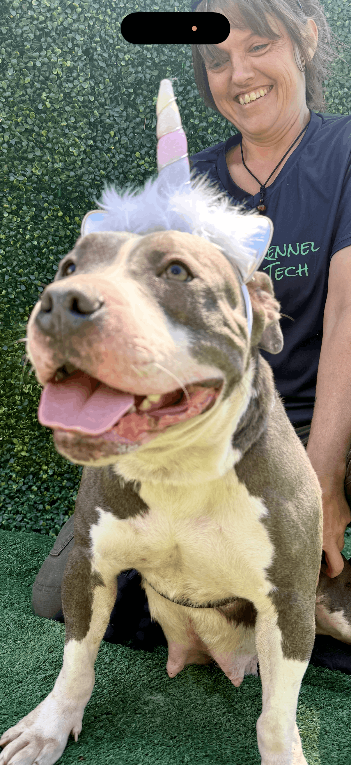 Pound Pitties Dog Rescue