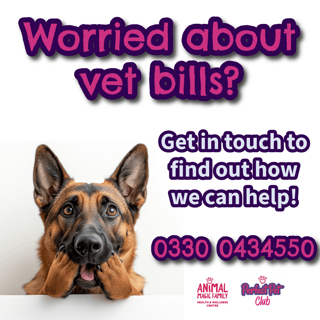 The National Association of Pet Health CIC