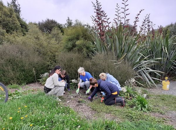 Volunteer Marlborough Charitable Trust