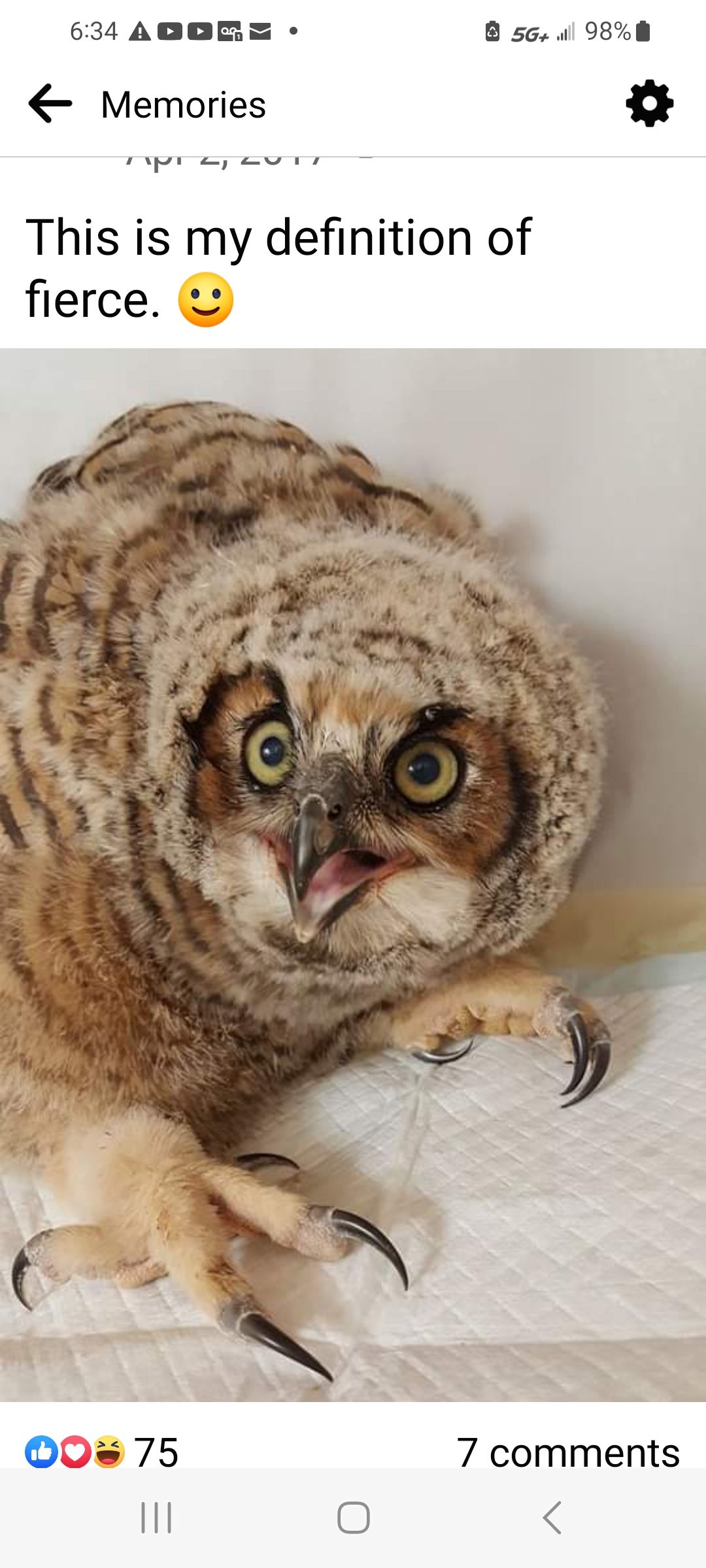 Rogers Wildlife Rehabilitation, Hutchins, TX