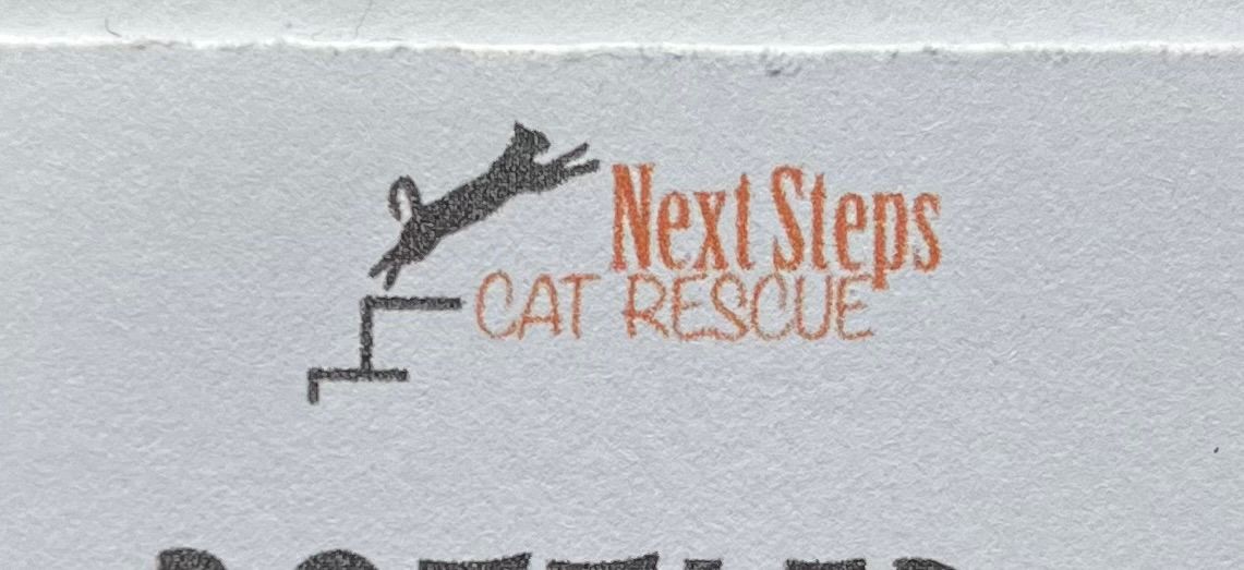 Next steps cat rescue Shropshire