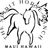 The Spirit Horse Ranch Inc