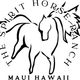 The Spirit Horse Ranch Inc