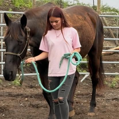 The Spirit Horse Ranch Inc