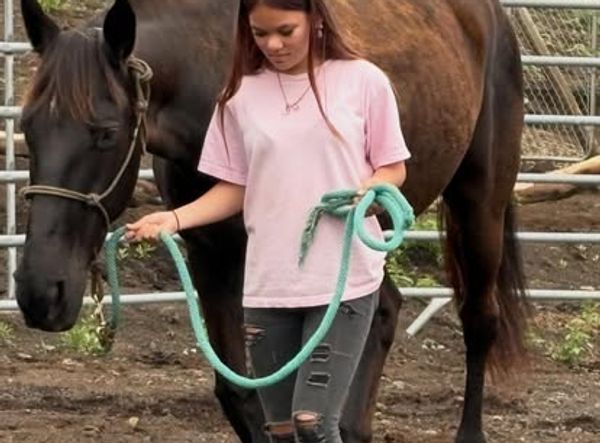 The Spirit Horse Ranch Inc